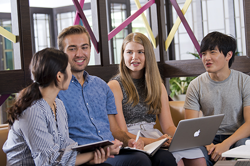 Popular IT Course in Germany